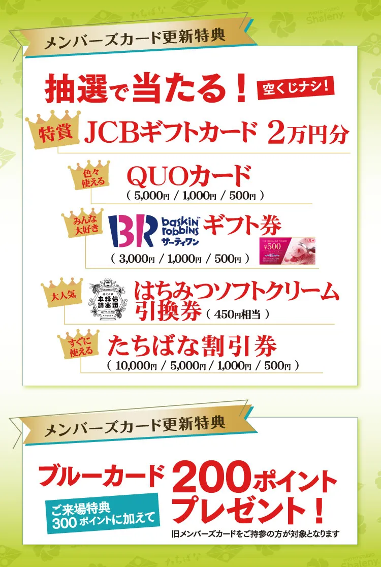 更新専用　来場特典・抽選　着物たちばな松本店MCD　DMページ配信用